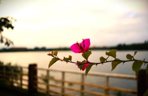 Dak Mil Casa | MAI HOTAY Lakeside Highland Retreat Homestay