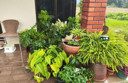 Kampung Terang Casa | Mai Paddy Cottage, Balik Pulau