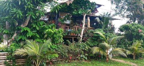 Puerto Narino Casa | Maiku Amazonas