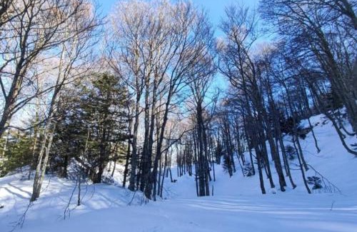 Bielle Apartamento | Mailh- Massibé T2 5 pers près du ski linge de maison inclus parking tout confort jardin clos