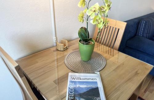 Kaprun Apartamento | Maiskogel Studio