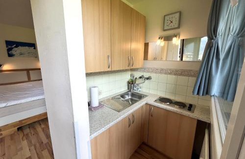 Kaprun Apartamento | Maiskogel Studio
