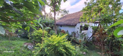Nosy Komba Casa | Maison éco-lodge l'arbre du voyageur