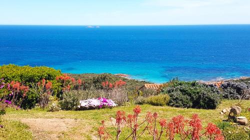 Santa Giulia Casa | Maison 4 pièces, vue panoramique, piscine, climatisation, près de Palombaggia