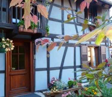 Wingersheim Casa | Maison accueillante dans Wingersheim-les-Quatre-Bans avec terrasse.