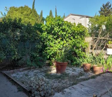 Santa Cruz Casa | Maison avec jardin