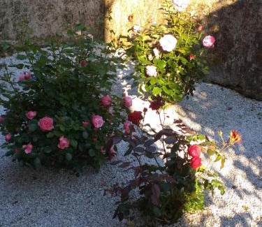 Le Fraysse Cama Y Desayuno | Maison Belvoir