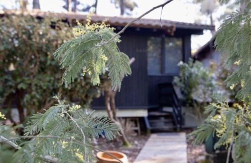 Lacanau Chalet De Esquí | Maison bois au bord du lac