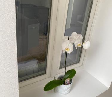 Drouvin-le-Marais Casa | Maison calme et confortable