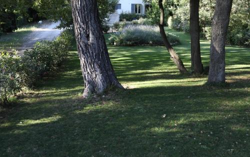 Saint-Cannat Casa | Maison calme et verdure
