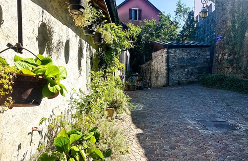 Annecy Old Town Chalet De Esquí | Maison Castellino