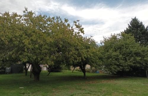 Chatillon-Sur-Loire Apartamento | Maison Châtillon sur Loire - Peace and quiet