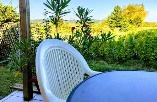 Saint-Satur Casa | Maison charmante à Saint-Satur avec jardin et terrasse