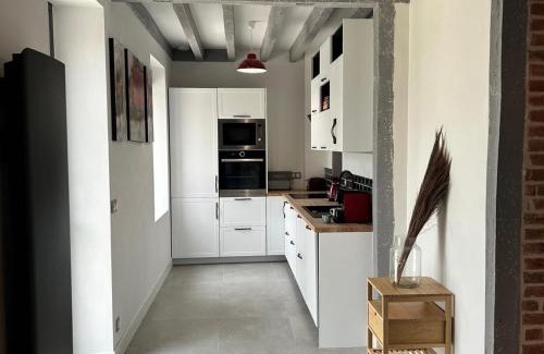 Saint-Eloy-de-Gy Casa | Maison contemporaine avec piscine et jardin, proche de Bourges - FR-1-586-43