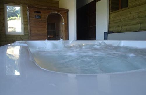 Saint-Andre-dʼApchon Apartamento | Maison cosy avec spa, sauna et lamas à proximité de Roanne - FR-1-496-23