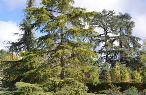 Le Sequestre Casa | Maison cosy tout confort dans un cadre de verdure