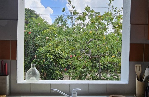 Le Moule Casa | Maison Créole Dans Ravissant Jardin