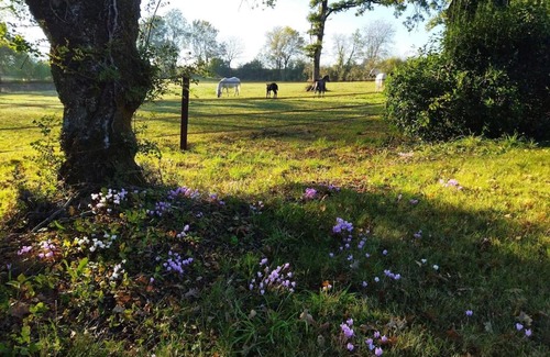 Le Landreau Casa | Maison de campagne au cœur d'un élevage de poneys connemara