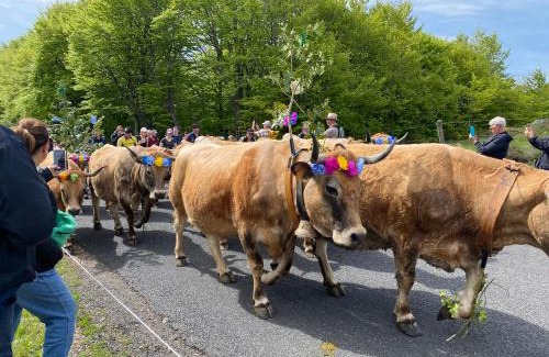 Peyre-en-Aubrac Casa | Maison de campagne