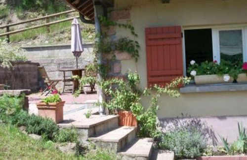 Lubine Casa | Maison de charme à Lubine, idéale pour randonnées et famille, proche Alsace et stations de ski - FR-1-589-192