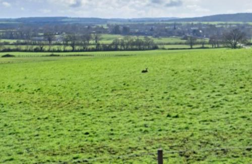 Nonant-le-Pin Casa | Maison de charme en campagne, 5 min du haras du pin