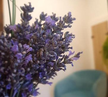 Auch Apartamento | Maison de rue: Auch