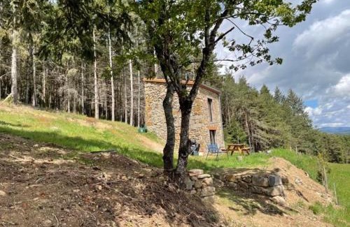 Langeac Casa | Maison de vigne rénovée à Langeac, nature et randonnées - FR-1-582-86