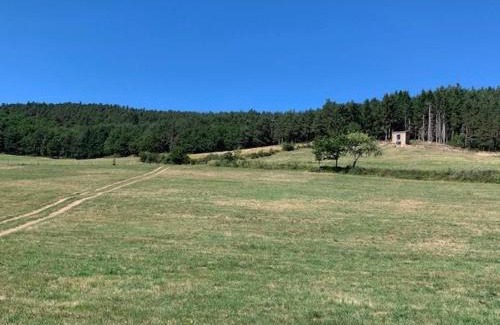 Langeac Casa | Maison de vigne rénovée à Langeac, nature et randonnées - FR-1-582-86