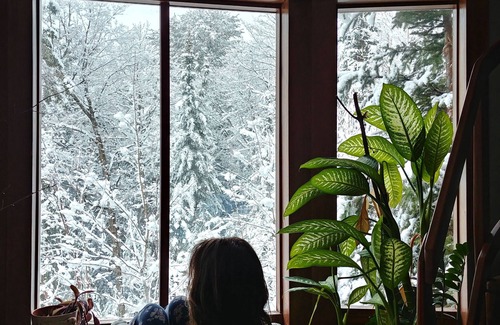 Val David Chalet De Esquí | Maison du luthier - 2 km from Val-David village, in the middle of the forest! Ideal for families