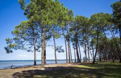 Parentis-en-Born Casa | Maison familiale, 15 pers., jardin privé, proche centre et lac, à 25 min de l'océan - FR-1-319-472