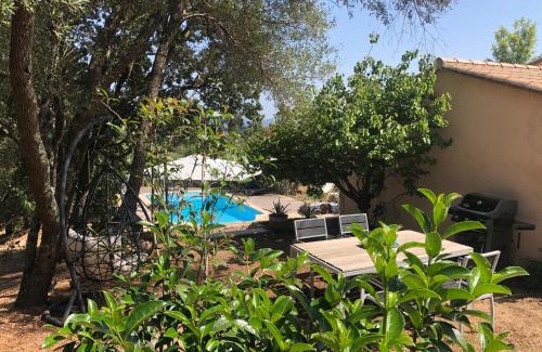 Porto-Vecchio Casa | Maison Ferruccio