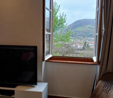 Saint-Jean-Pied-de-Port Apartamento | Maison Gohora Dago
