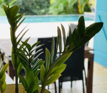 Baie-Mahault Villa | Maison La Samana