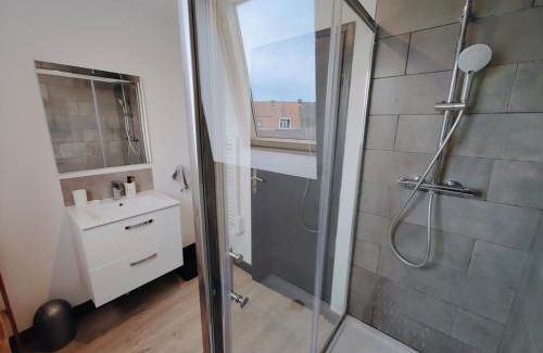 Roubaix Casa | Maison Lilloise 6 people heart of Roubaix