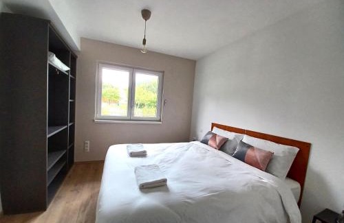 Soultzbach les Bains Casa | Maison neuve 4 chambres à Soulzbach - FR-1-744-46