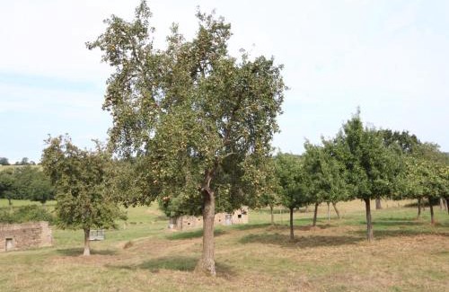 Tinchebray-Bocage Casa | Maison Normande avec Jardin Clôturé, Cheminée et Options Confort, près de la Roche d'Oëtre - FR-1-497-141