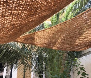 Thiers Cama Y Desayuno | Maison Olea