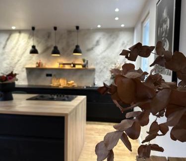 Fretin Casa | Maison Patcha