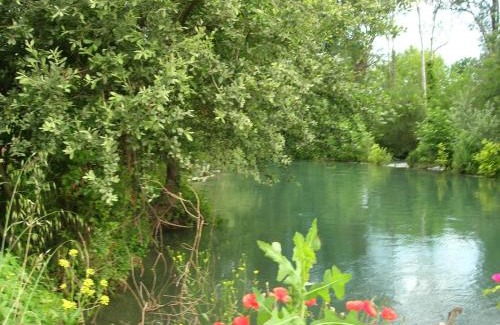 L'Isle-sur-la-Sorgue Casa | maison près de l'eau