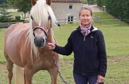 Aubry-en-Exmes Casa | Maison rénovée au Haras avec WIFI, animaux acceptés - FR-1-497-236