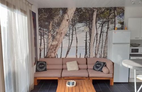 Ronce-les-Bains Casa | Maison RONCE LES BAINS