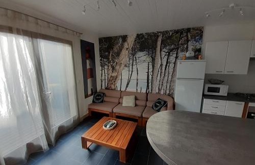 Ronce-les-Bains Casa | Maison RONCE LES BAINS