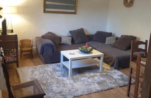 Sainte-Croix-en-Plaine Casa | Maison spacieuse à Sainte-Croix-en-Plaine avec jardin