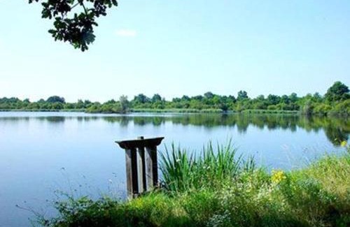 Mezieres-en-Brenne Casa | Maison spacieuse avec cour et cheminée au cœur du Parc Naturel de la Brenne - FR-1-591-229