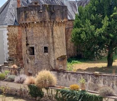 Saint-Victurnien Cama Y Desayuno | Maison Tyto Alba