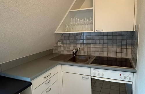 Werd Condominio | Maison Züri Charming Retreat in Wiedikon, Just 16 Minutes from Lake Zurich