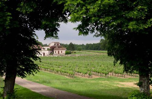 Villeneuve-de-Duras Casa | Maisonnette au coeur d'un vignoble