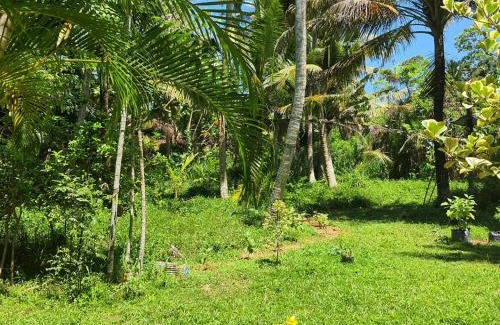 Matara Hotel | Maithree International Meditation Center