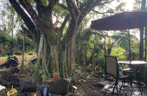Mountain View Casa | Majestic Banya tree cabin