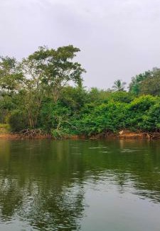 Thalassery Casa | Makam Holiday Home